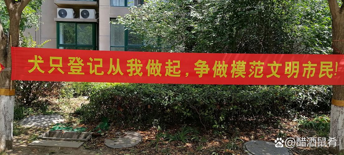 刘兵城建材